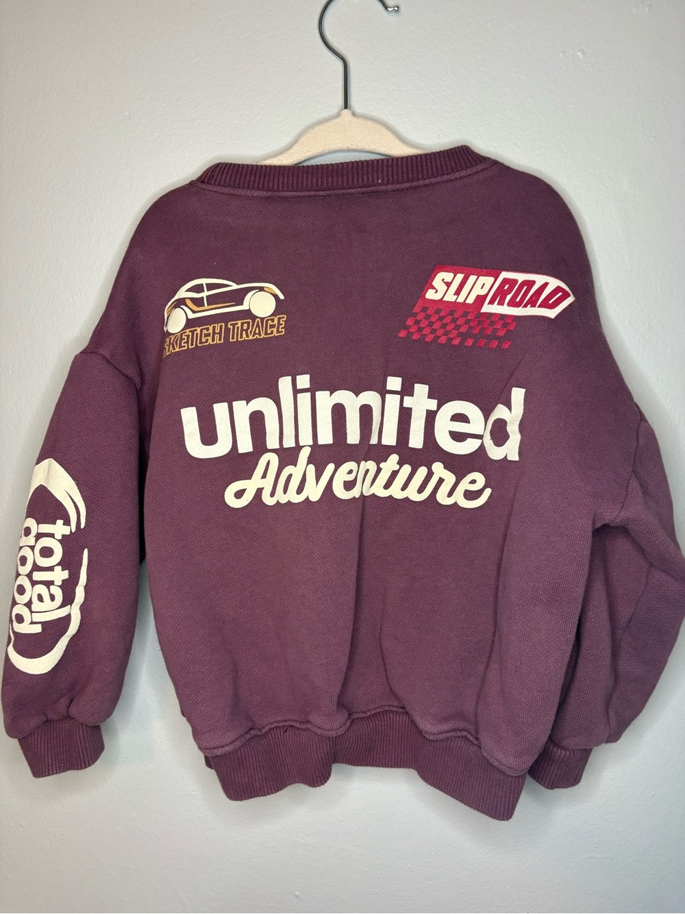 Zara Graphic Crewneck Sweater - Deep Plum